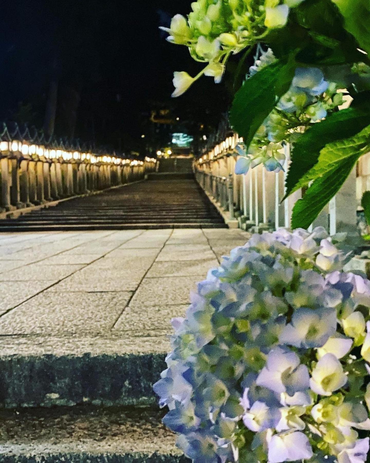 ホテル 門前おかげ楼 生駒市 エクステリア 写真